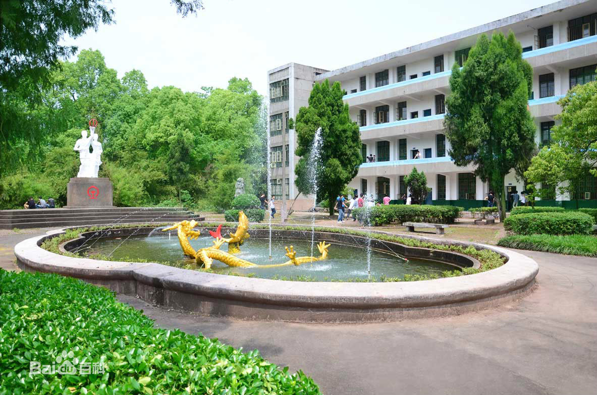 雄伟的教学楼